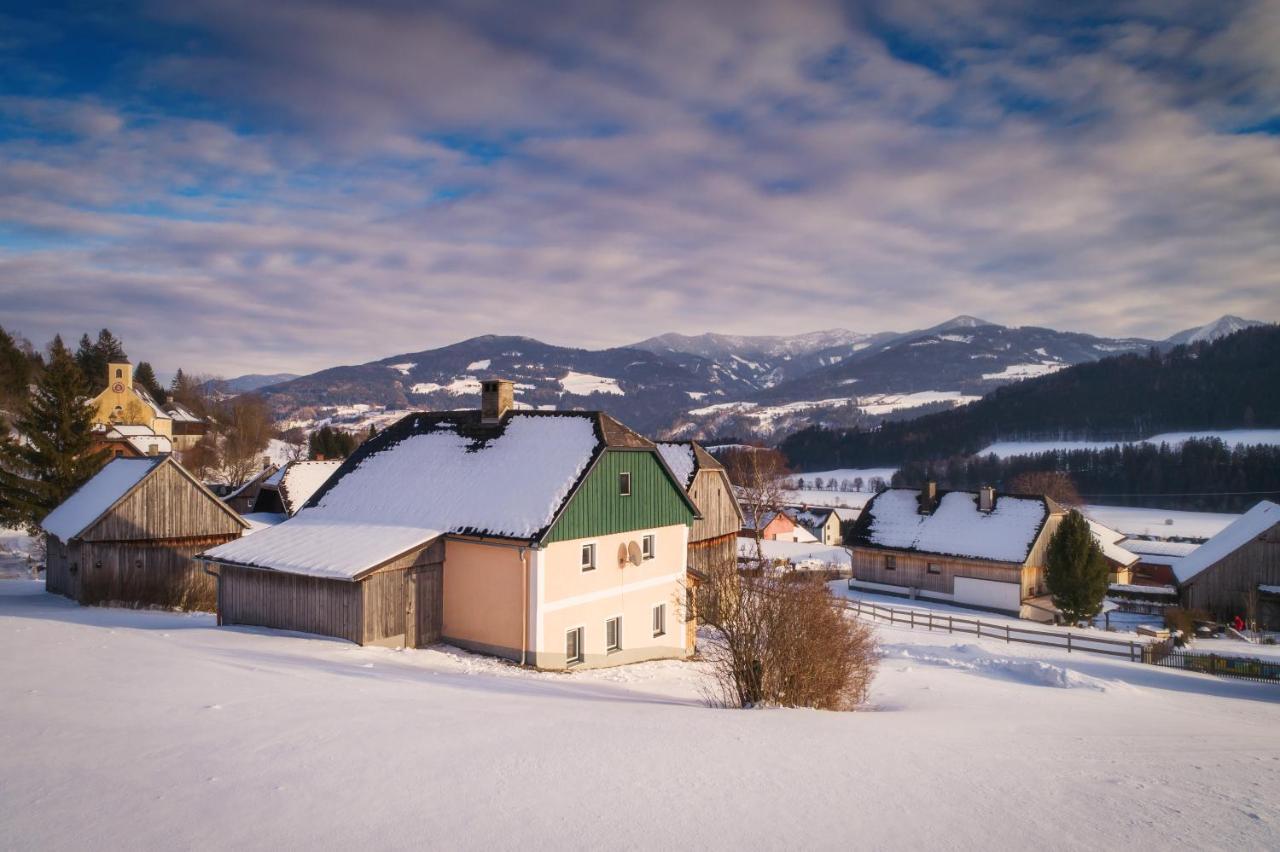 Ferienhaus Schwoellerbauer Sankt Martin am Grimming Esterno foto